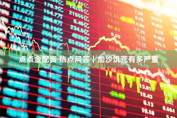 点点金配资 热点问答｜加沙饥荒有多严重