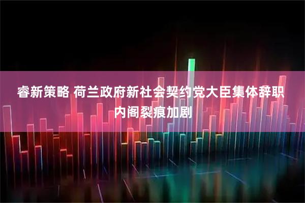 睿新策略 荷兰政府新社会契约党大臣集体辞职 内阁裂痕加剧
