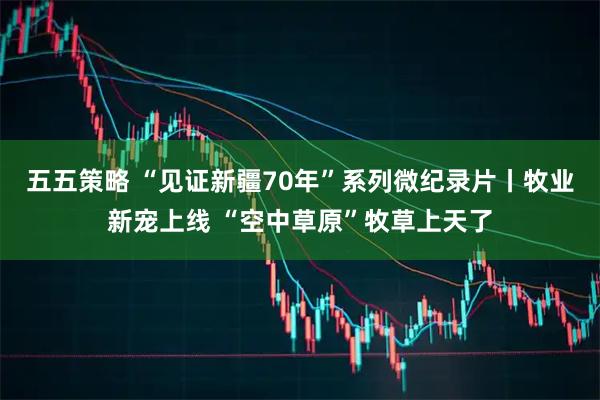 五五策略 “见证新疆70年”系列微纪录片丨牧业新宠上线 “空中草原”牧草上天了