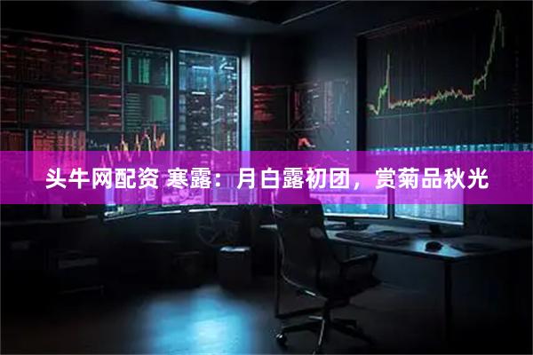 头牛网配资 寒露：月白露初团，赏菊品秋光