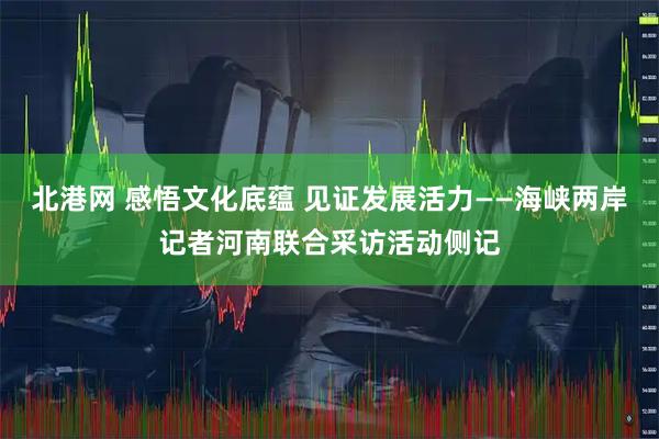 北港网 感悟文化底蕴 见证发展活力——海峡两岸记者河南联合采访活动侧记