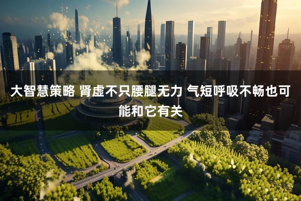 大智慧策略 肾虚不只腰腿无力 气短呼吸不畅也可能和它有关
